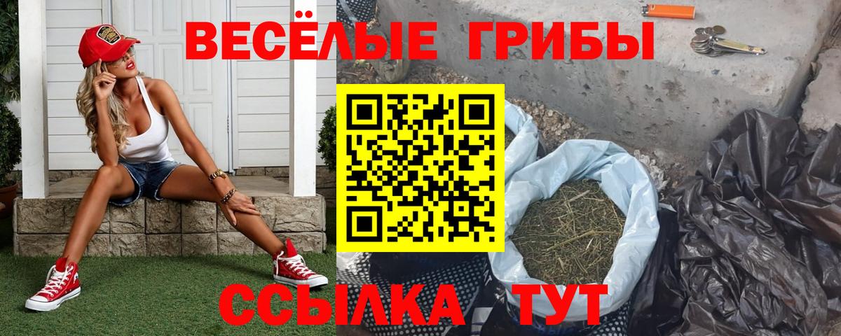 Галлюциногенные грибы GOLDEN TEACHER  цена   Галлюциногенные грибы мицелий  Аксай  Вход с VPN 